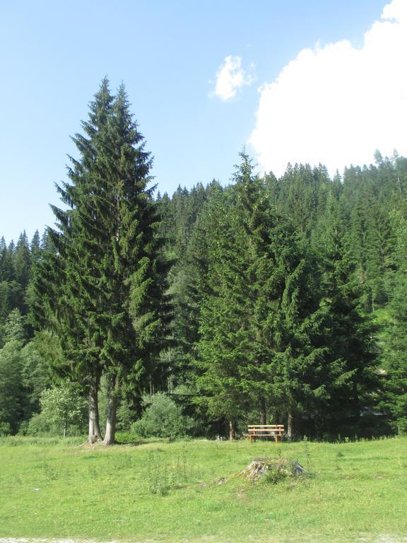 Schwarzenbacher Lungötz Rum bild