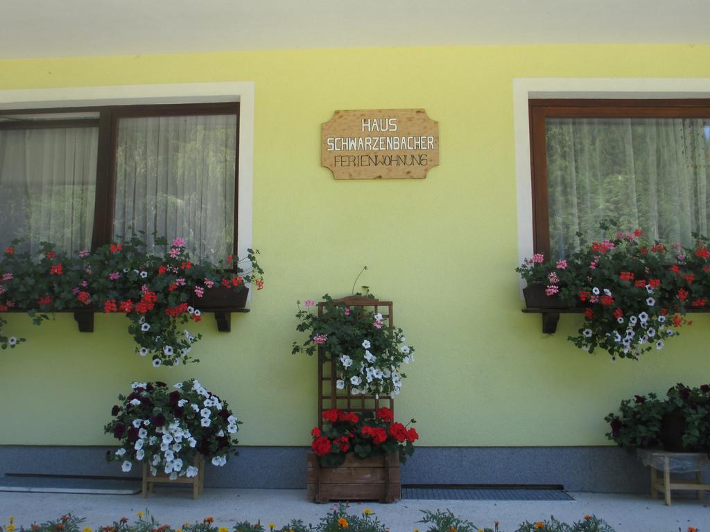 Schwarzenbacher Lungötz Rum bild