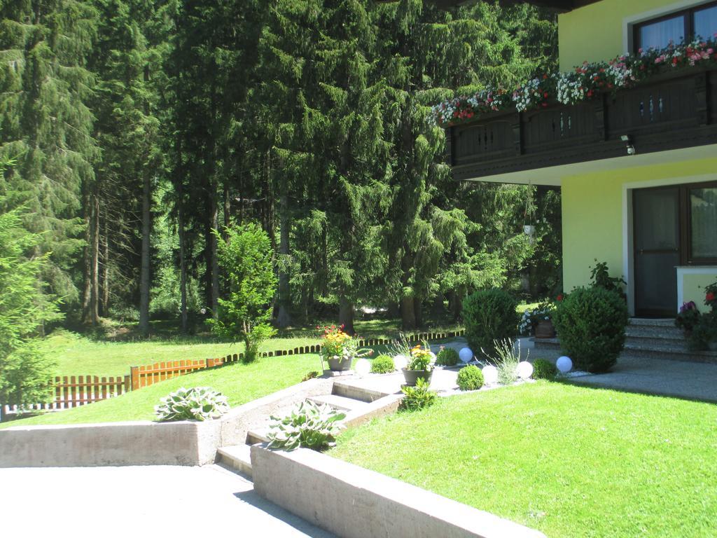 Schwarzenbacher Lungötz Rum bild